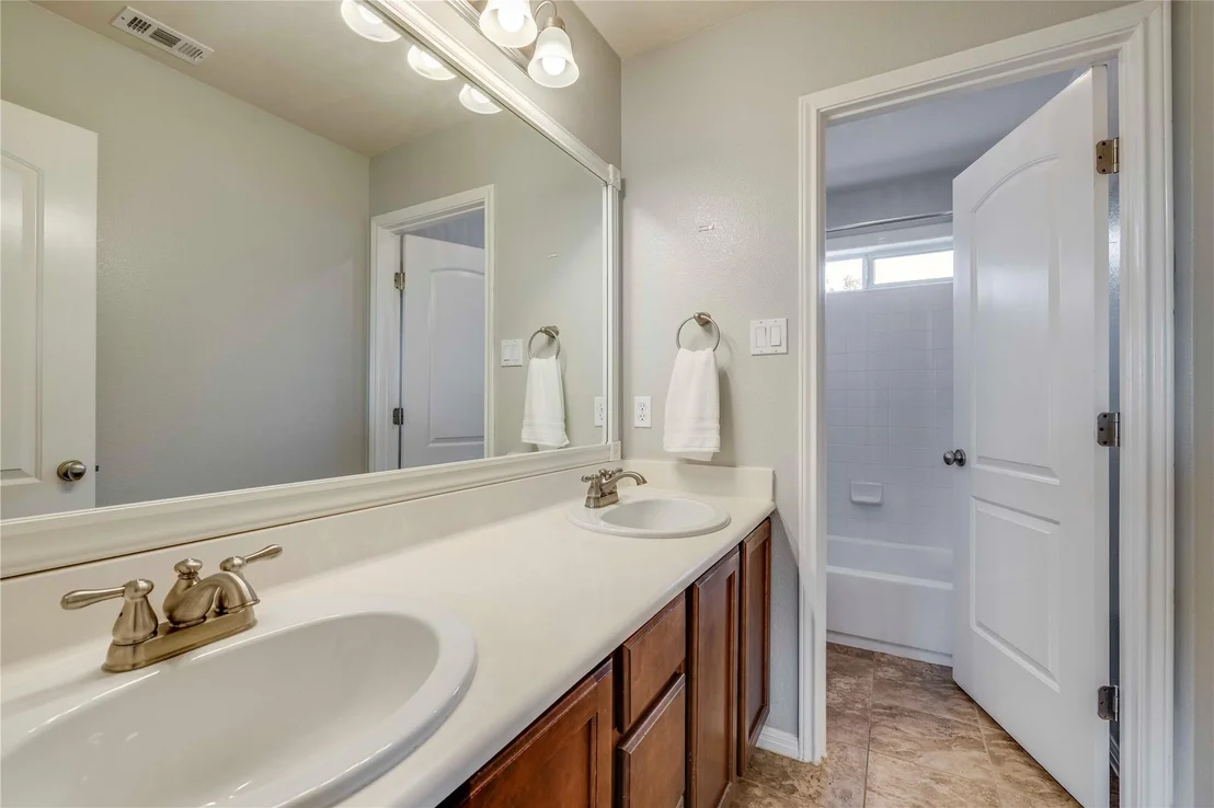 Photo of 1103 Snow Goose