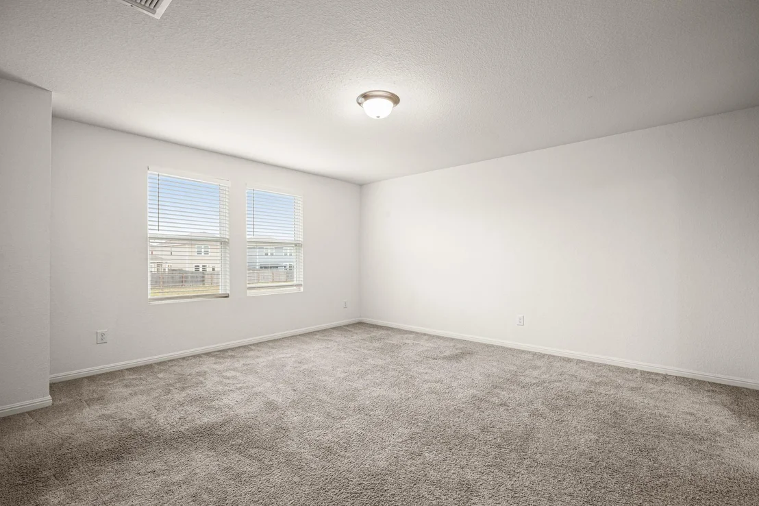 Photo of 109 Gray Fox LOOP