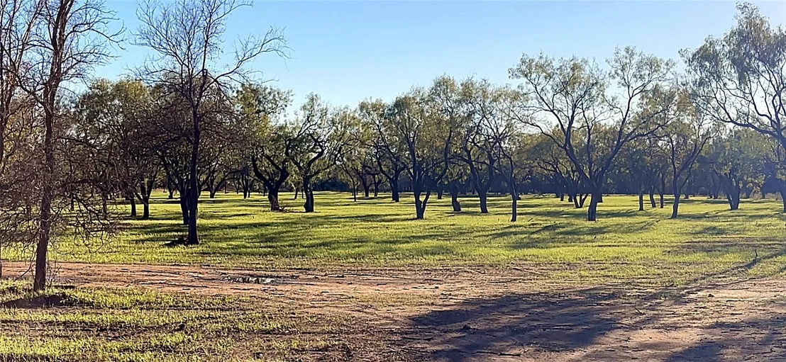 Photo of 6417 County Road 120