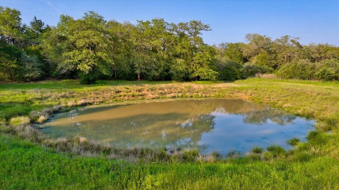Photo of 2095 County Road 442
