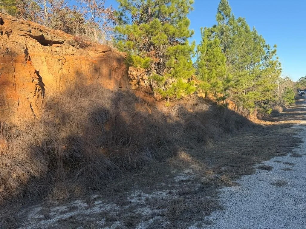 Photo of LOT 182 Keo Kea CT