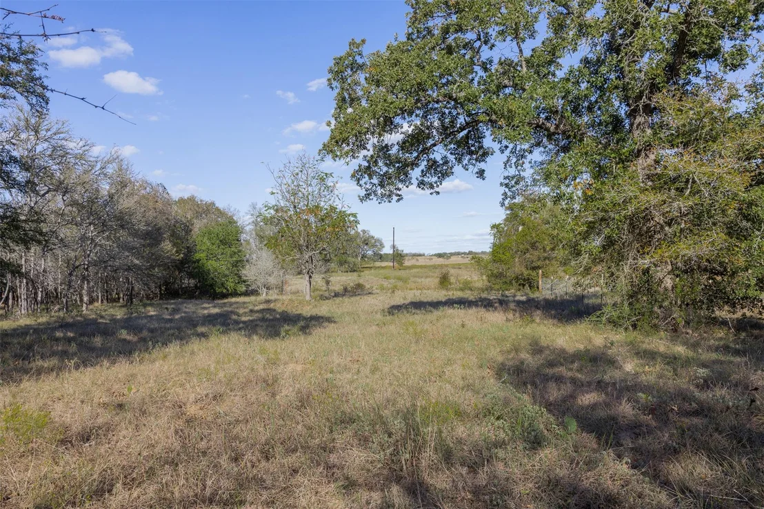 Photo of 897 Ferguson LOOP