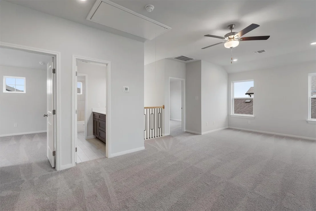 Photo of 313 Stellar Wind DR