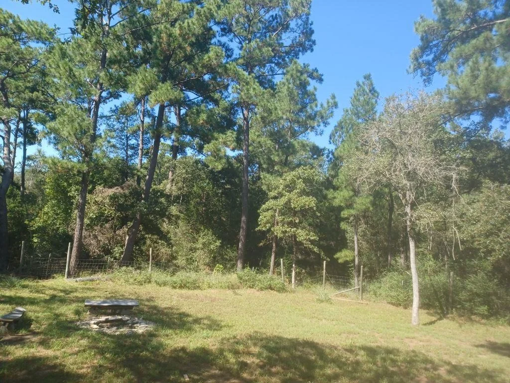Photo of 172 Pine Canyon DR