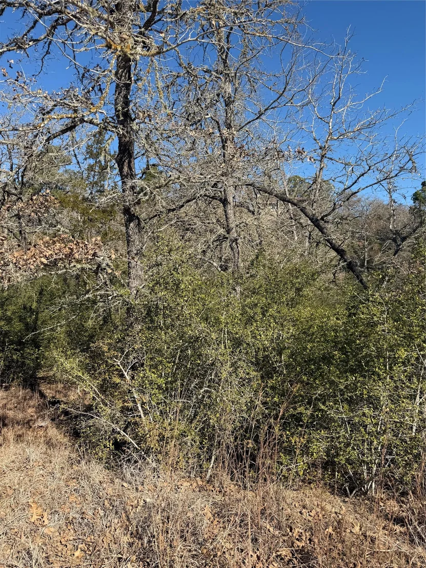 Photo of Lot 109 Wailupe CIR