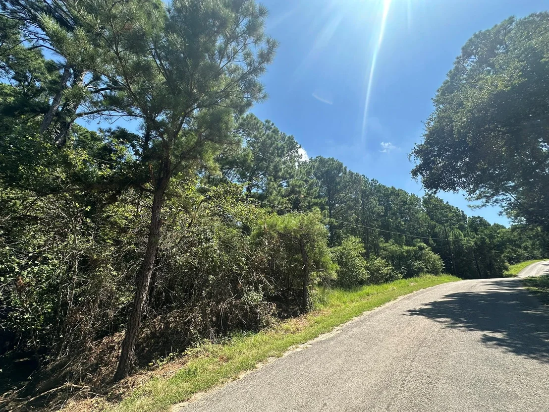 Photo of LOT 46 Kamakoa LN