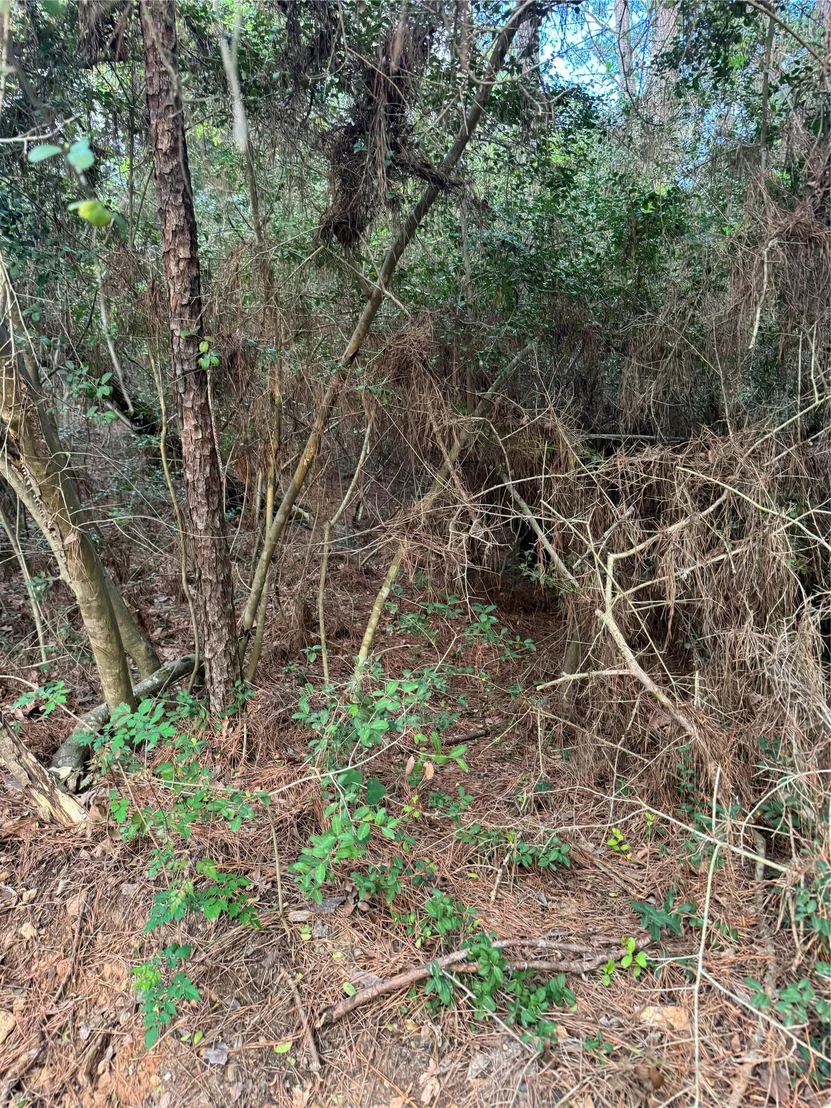 Photo of Lots 158 and 159 Hekili DR