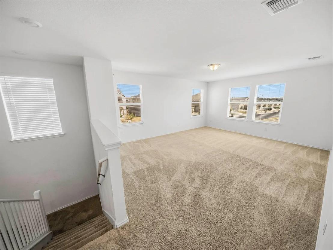 Photo of 101 Clematis CT