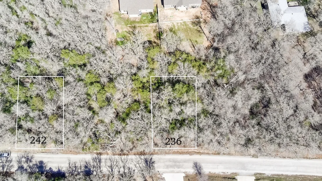 Photo of 242 Iva LN