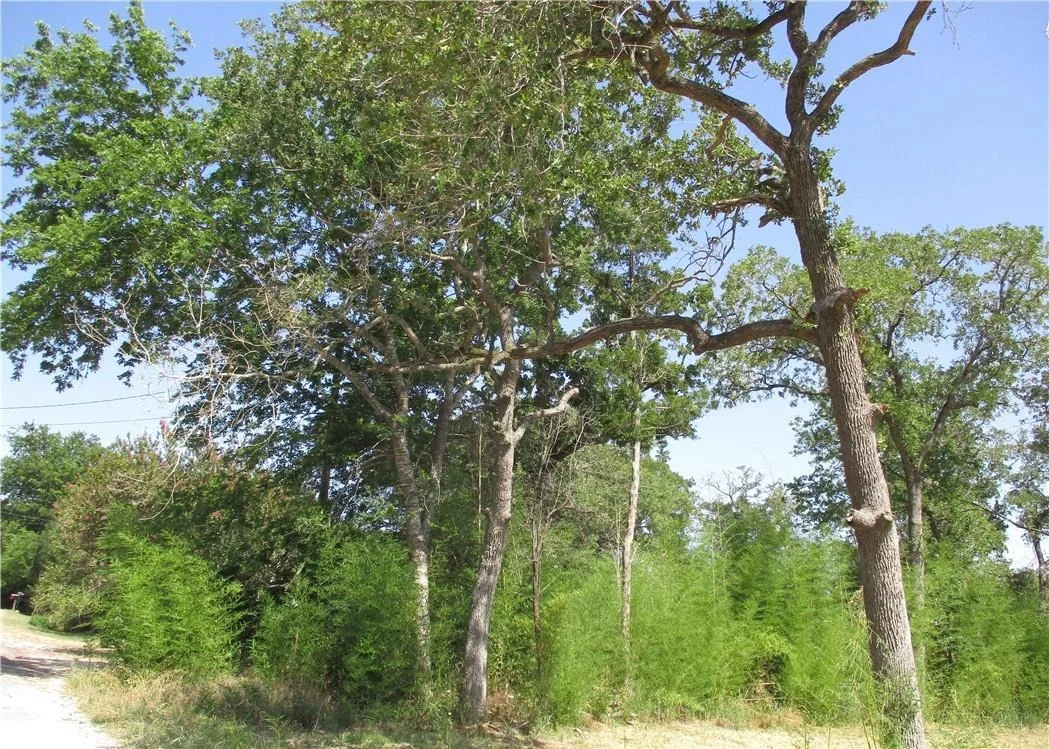 Photo of Lot 37 Moccasin Bend DR