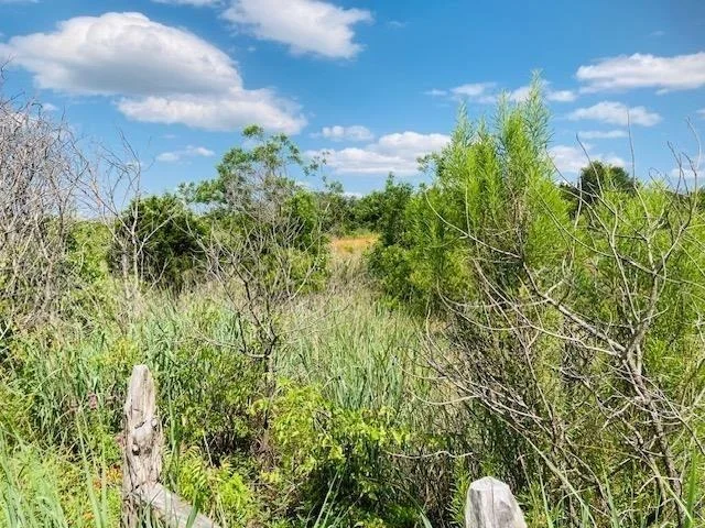 Photo of 1900 County Road 116B