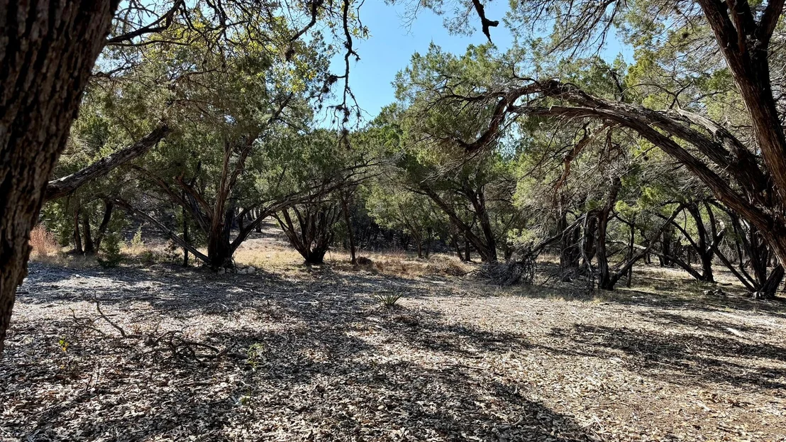 Photo of 4513 Destination WAY