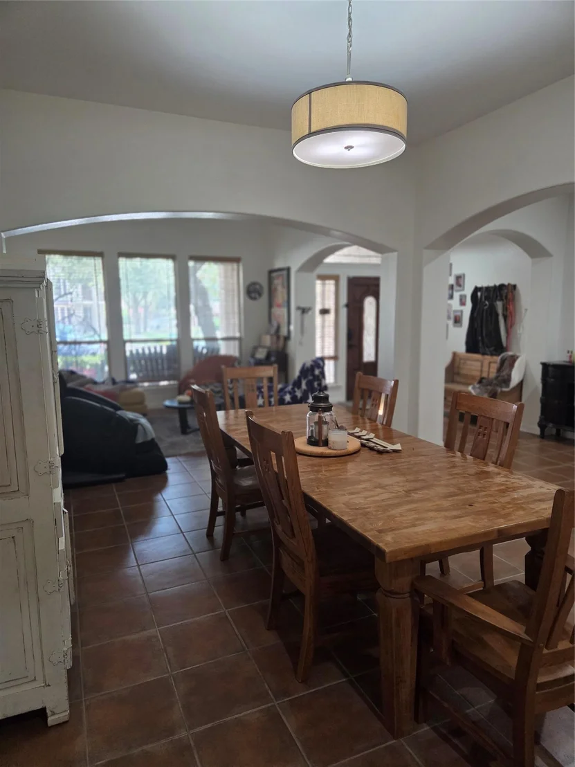 Photo of 2102 Spotted Owl CIR