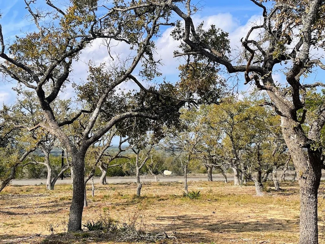 Photo of TBD Windmill Ridge DR