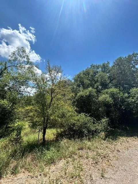 Photo of LOT 448 Indian Summer