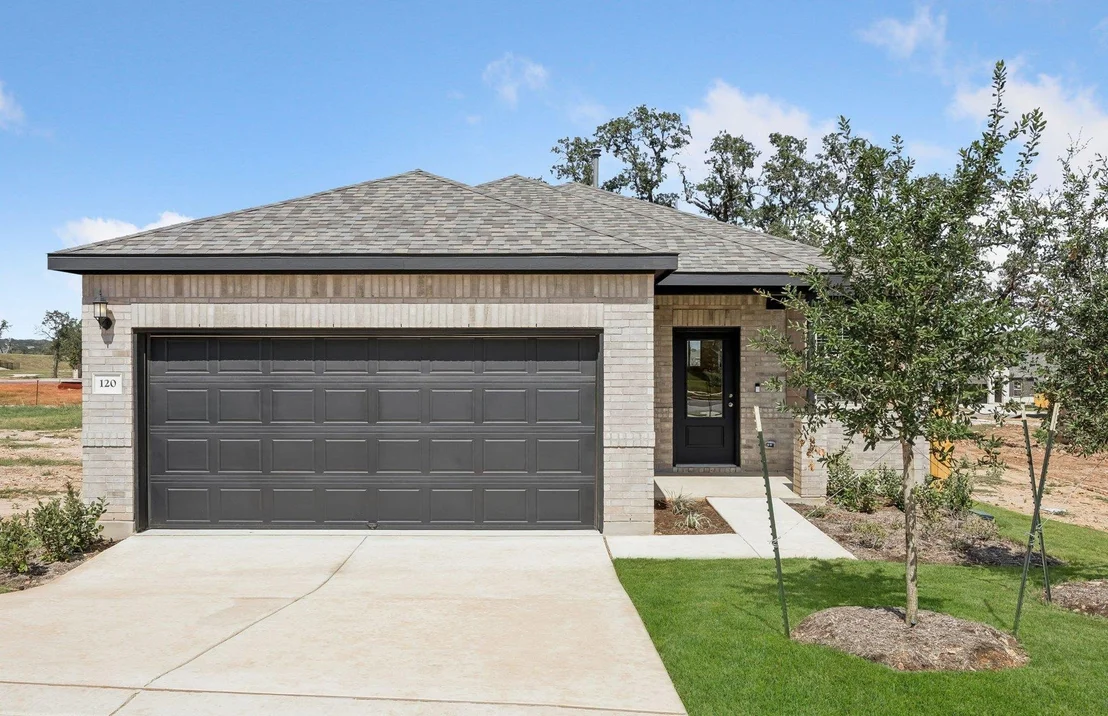 Photo of 120 Blackfoot Daisy PATH