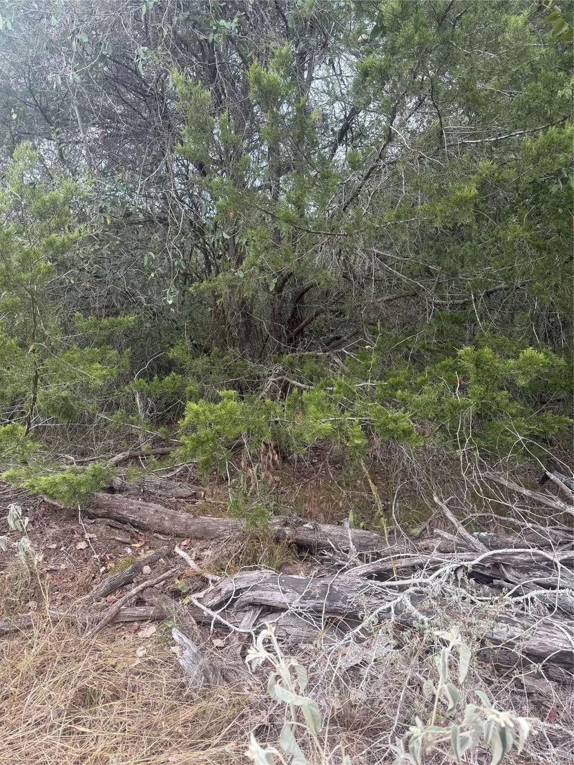 Photo of 223 Mokulua LN