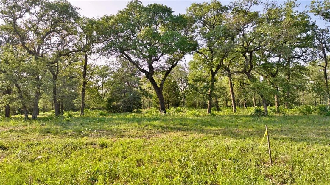 Photo of 2095 County Road 442