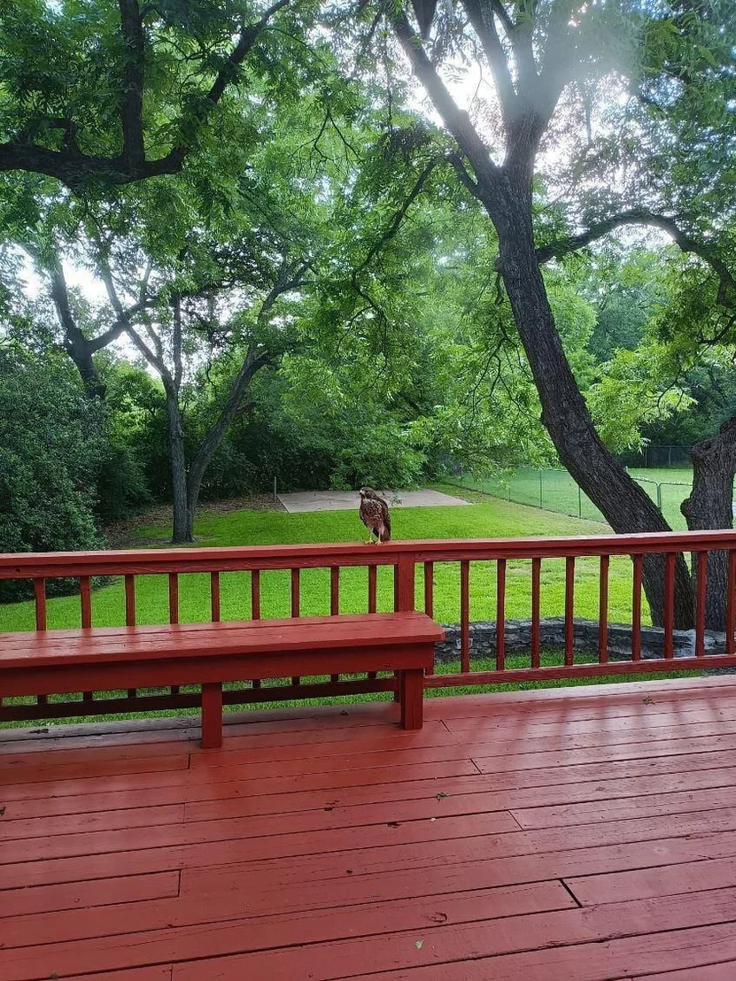 Photo of 1008 Hermitage DR