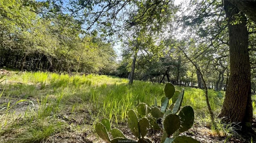 Photo of 750 County Rd 206A (15.5 Acres)