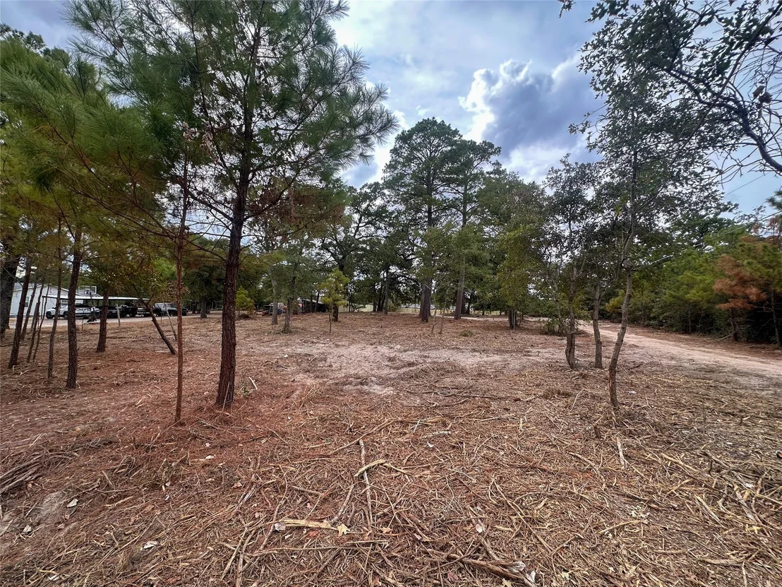 Photo of 287 Pine Hill LOOP