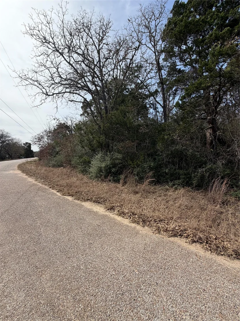 Photo of Lot 21 Flint Ridge ST