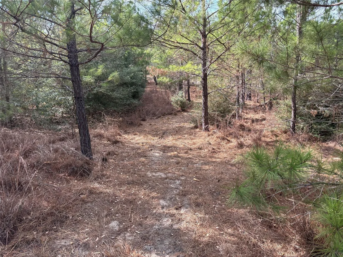 Photo of 187 K C DR