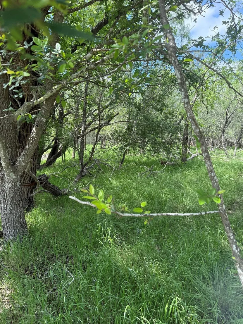 Photo of Lot 200 Nene LN