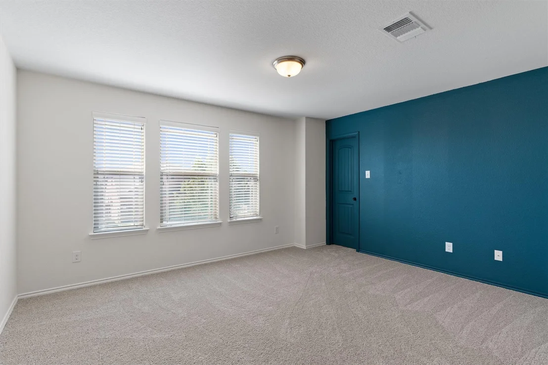 Photo of 804 Water Hyacinth LOOP
