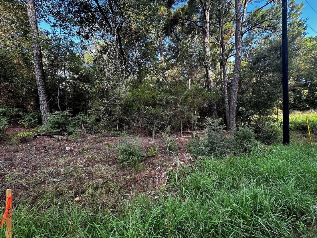 Photo of 145 Lamaloa DR