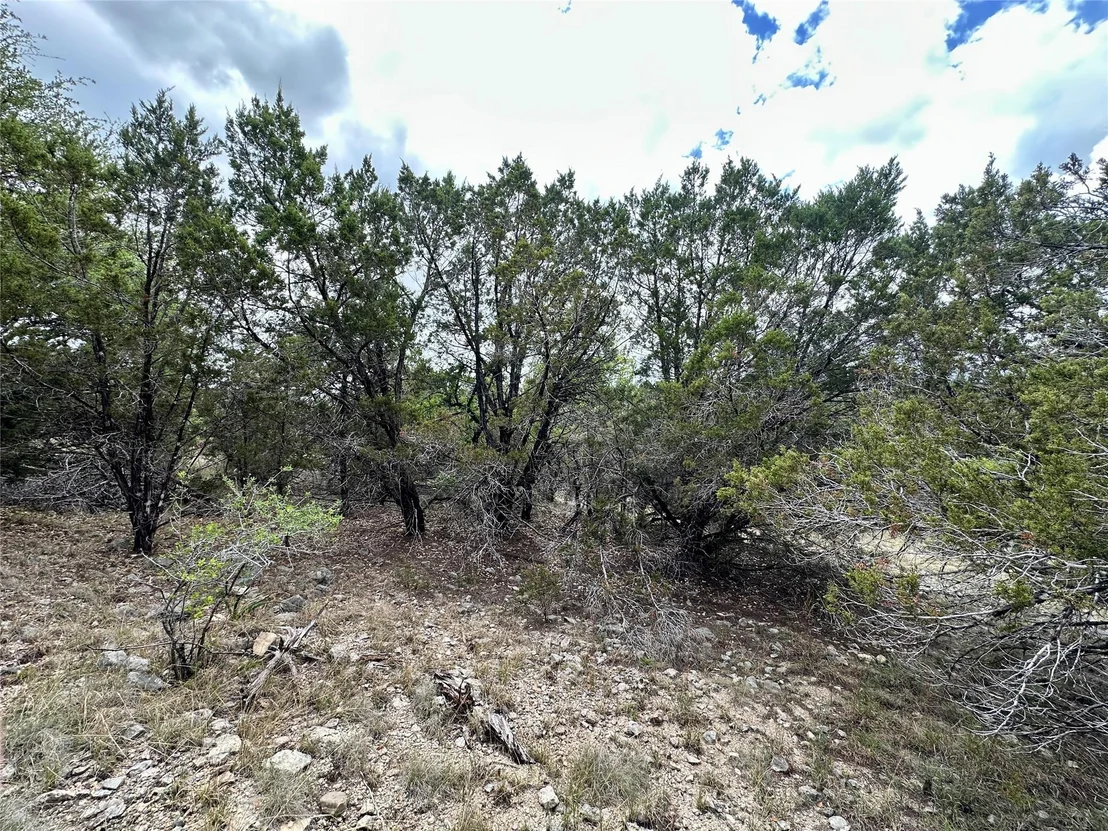 Photo of 8632 Big Horn CIR