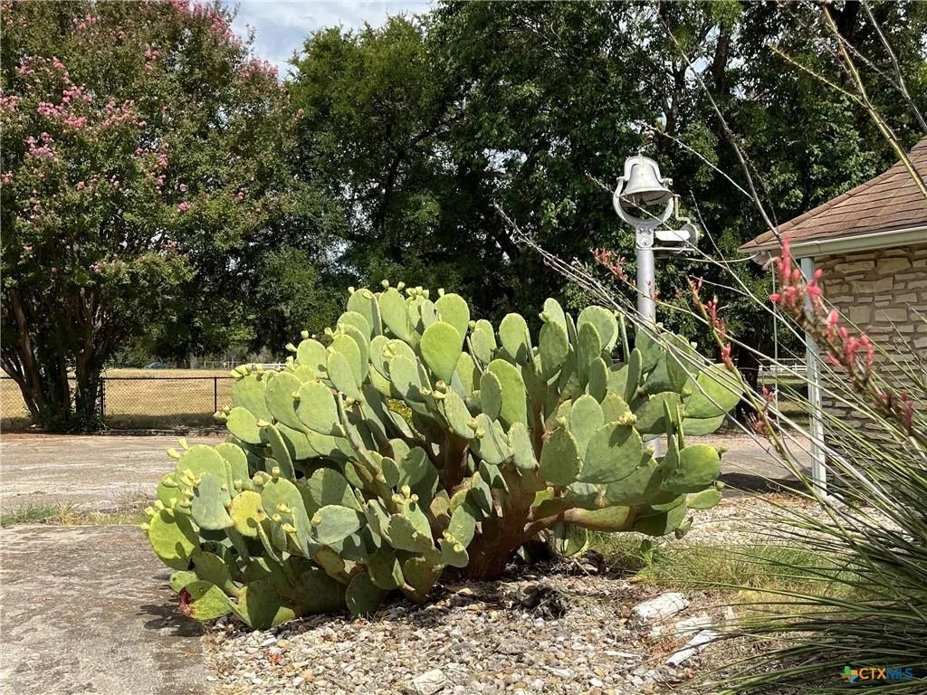 Photo of 4009 N Highway 183