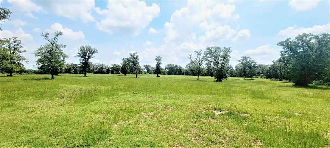 Photo of 3321 County Road 457