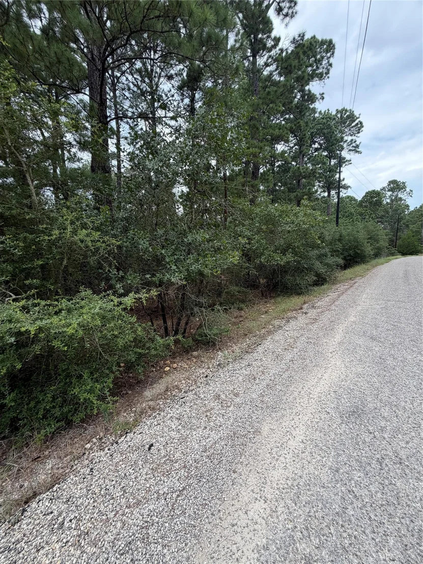 Photo of Lots 216 and 217 Hekili DR