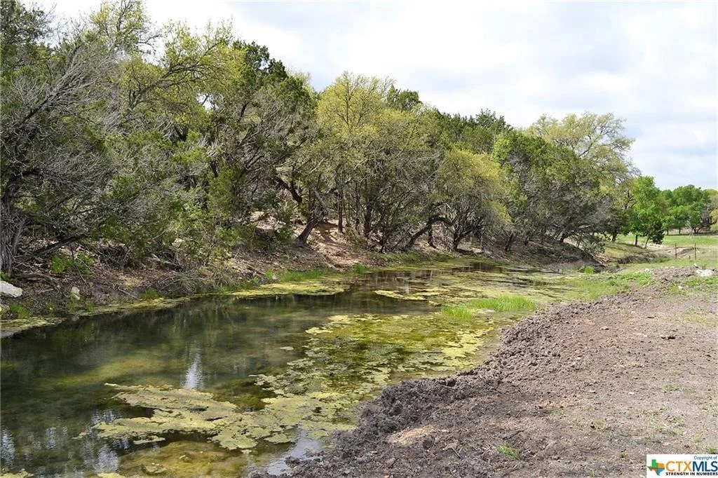 Photo of 1290 County Road 4765