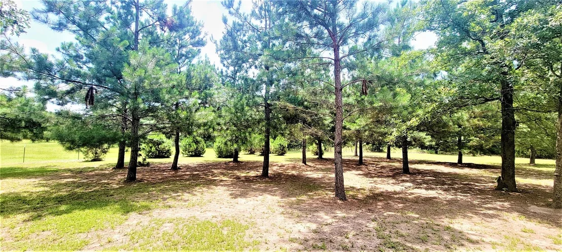 Photo of 3321 County Road 457