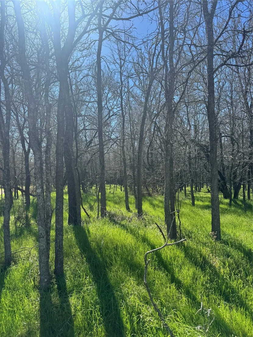 Photo of Lot 500 Kaaawa LN