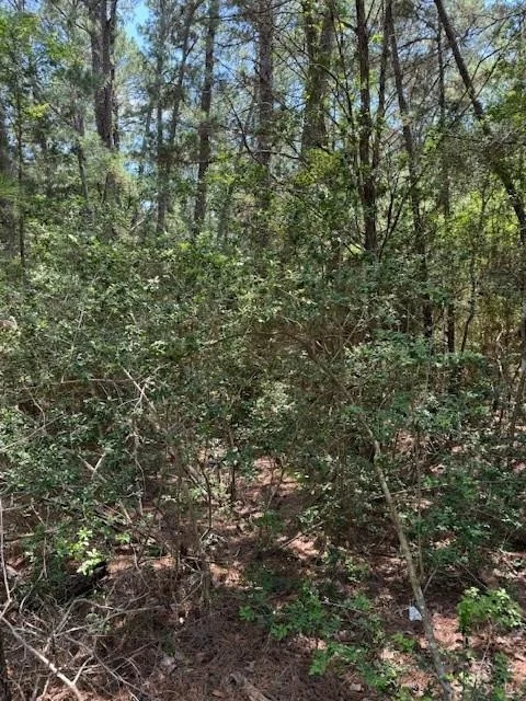 Photo of Lot 250 Hekili DR