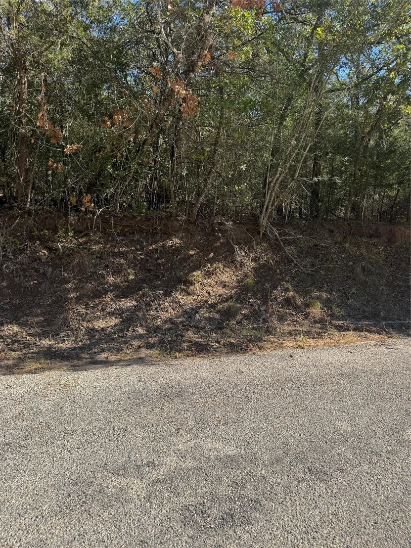 Photo of Lot 195 Kaelepulu DR