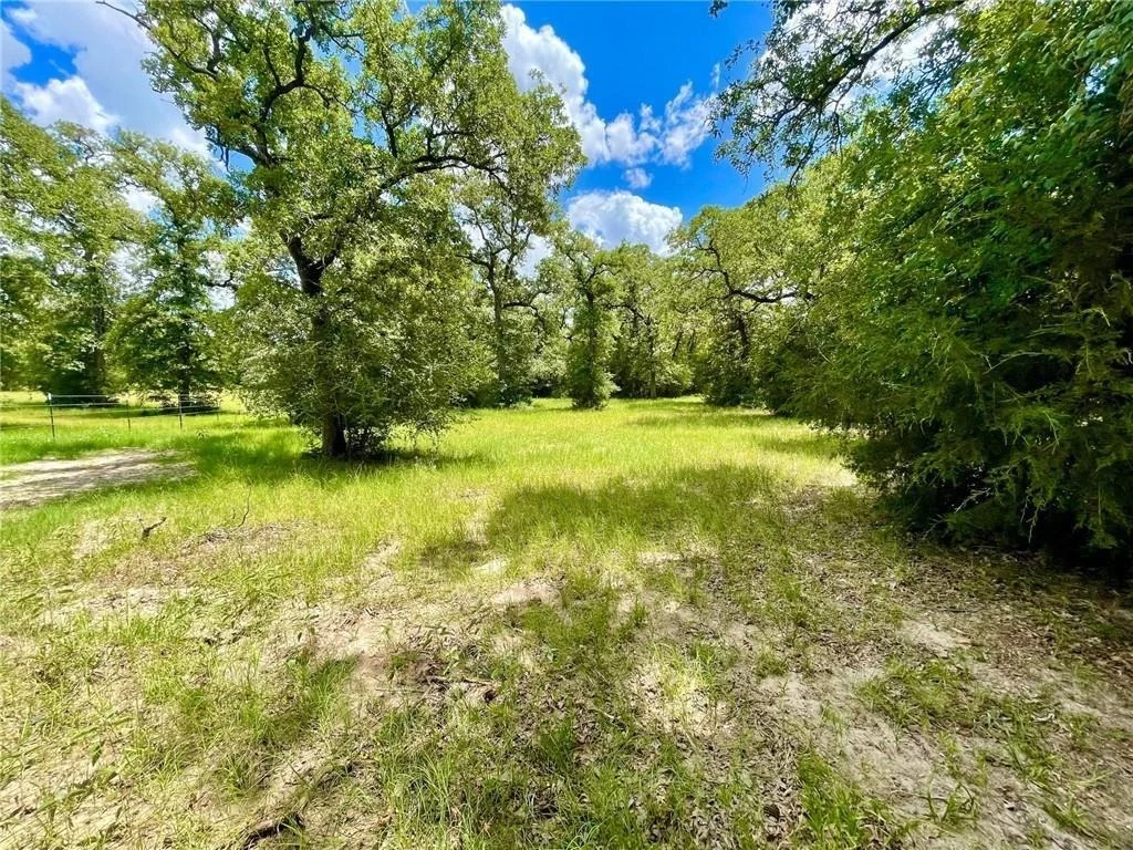 Photo of 10571 County Road 321