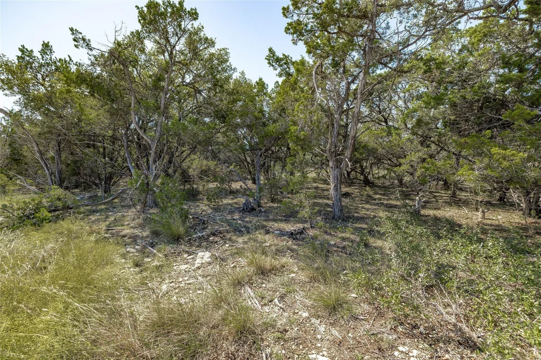 Photo of TBD County Road 281 Lot 2