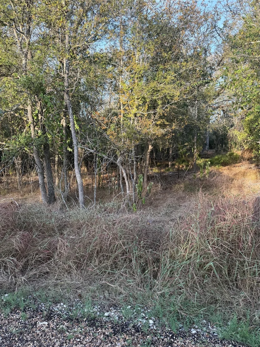 Photo of 172 Helemano DR