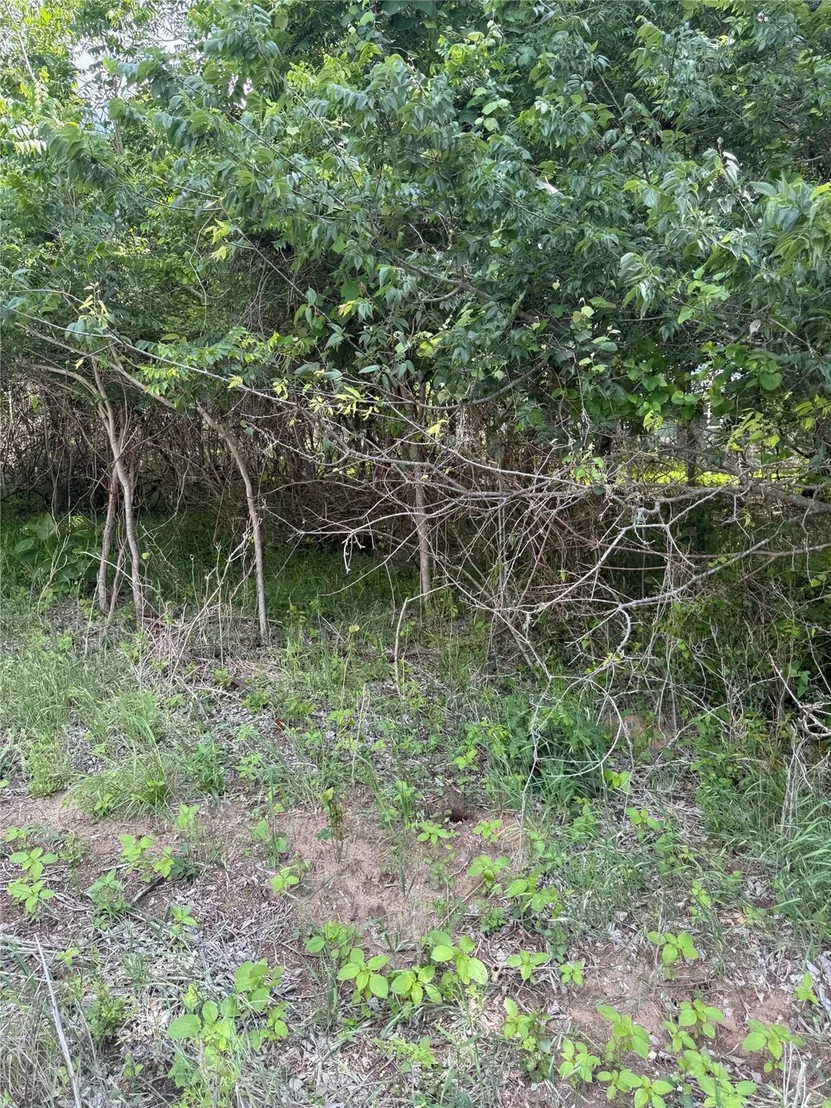 Photo of Lot 959 Riverside DR