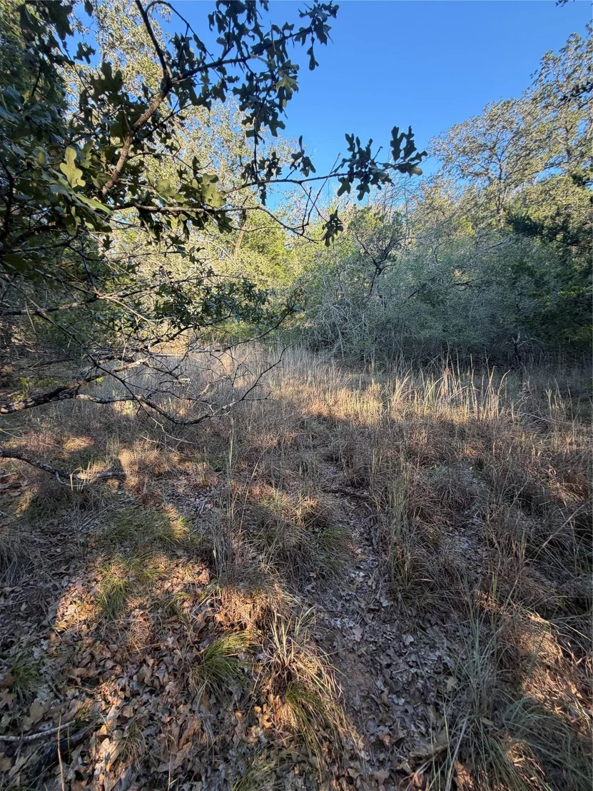 Photo of Lot 194 Kaelepulu DR