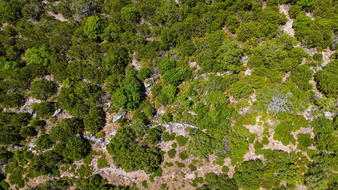 Photo of Lot 64 Blakley RD