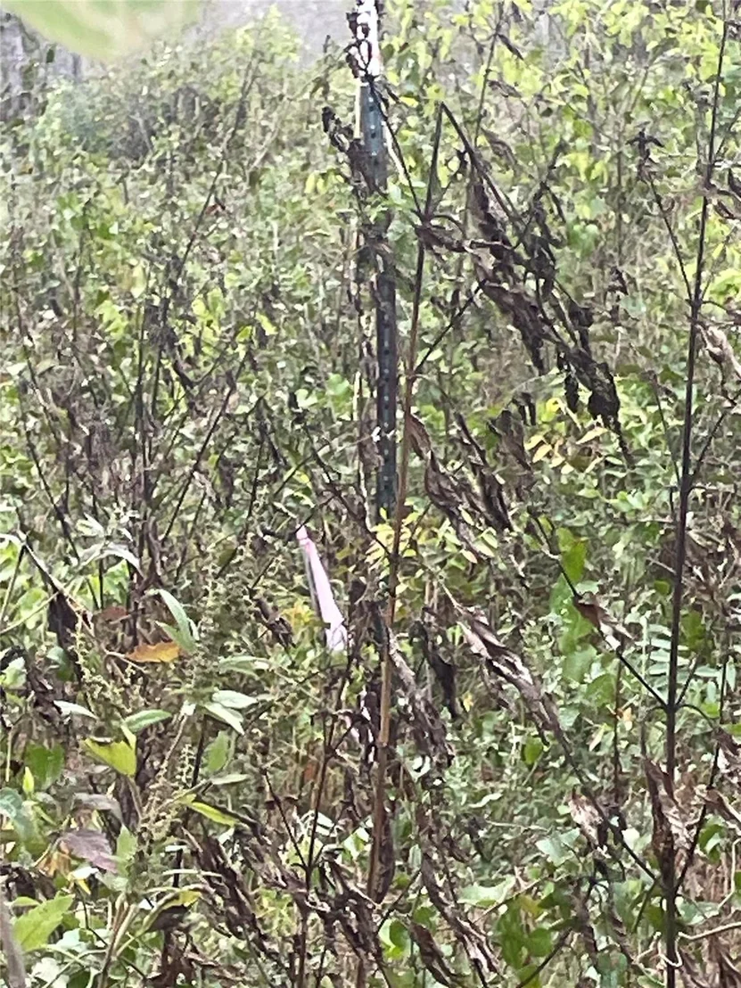 Photo of 0000 Balch RD