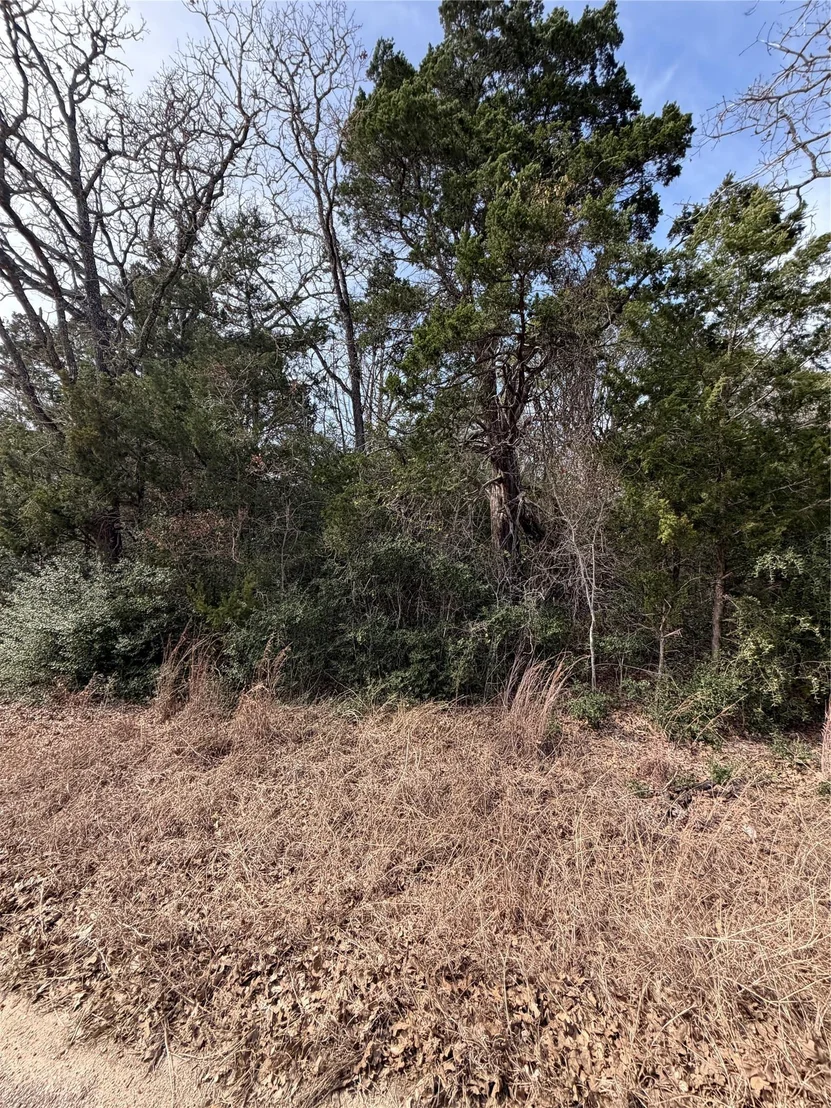 Photo of Lot 21 Flint Ridge ST