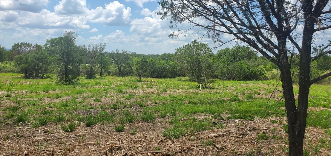 Photo of Tract 6 Lehne LOOP