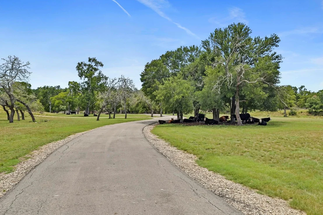 Photo of TBD Pack Saddle DR
