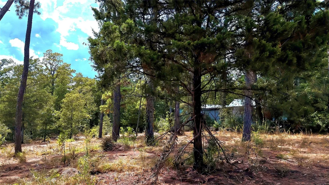 Photo of TBD Modock DR
